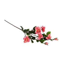 Kyauta Rose Pink Flowers