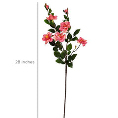 Kyauta Rose Pink Flowers