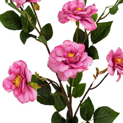 Kyauta Rose Baby Pink Flowers