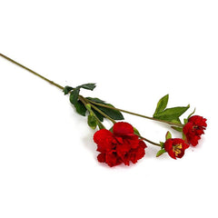 Pritinite Red Flowers