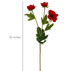 Pritinite Red Flowers