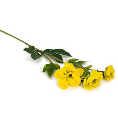 Peony Yellow Flowers
