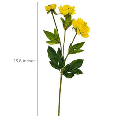 Peony Yellow Flowers