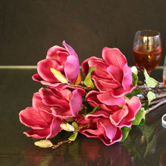 Magnolia Pink Flowers