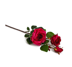 Bagong York Rose Flowers