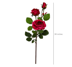 Bagong York Rose Flowers