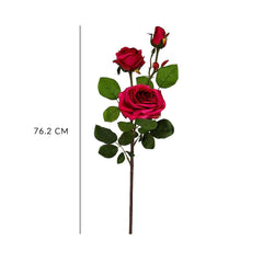 Bagong York Rose Flowers
