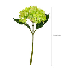Hortensia Lemon Flowers