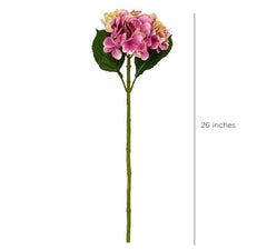 Hortensia Purple Flowers