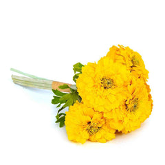 Marigold Yellow Flowers
