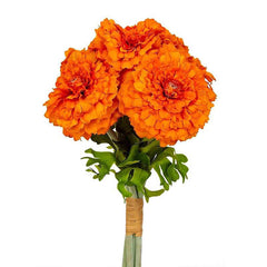 Marigold Musturd Flowers