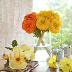 Marigold Musturd Flowers