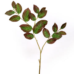 Isabah Leaf