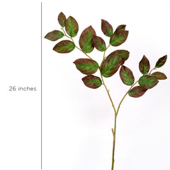 Isabah Leaf
