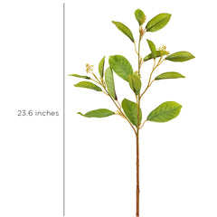 Fotinia Leaf