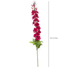Delphinium Flower