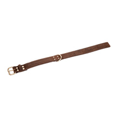 Alfie Dog Collar Small