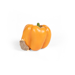 Bell Pepper Mini Object
