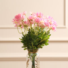 Daisy Bush Flower