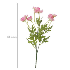 Daisy Bush Flower