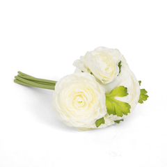 Rich Ranunculus Bush Flowers