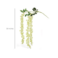 Wisteria flower