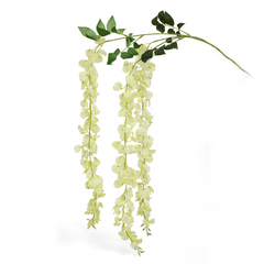 Wisteria flower