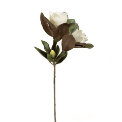 Magnolia Leaves Flower