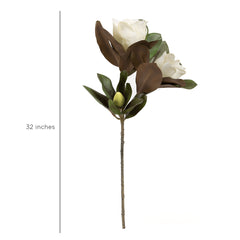 Magnolia Leaves Flower