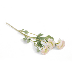 Ranunculus Flower Small