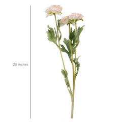 Ranunculus Flower Small