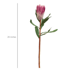 Princess Protea Flower