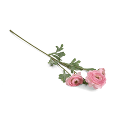 Ranunculus Flower Large