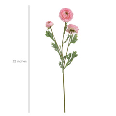 Ranunculus Flower Large