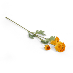 Ranunculus Flower Large Orange