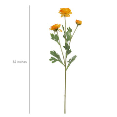 Ranunculus Flower Large Orange