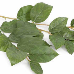 Sabah Leaf Medium