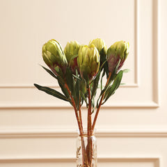 Queen Protea Flower Green