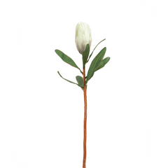 Princess Flower Bud Green