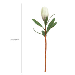 Princess Flower Bud Green