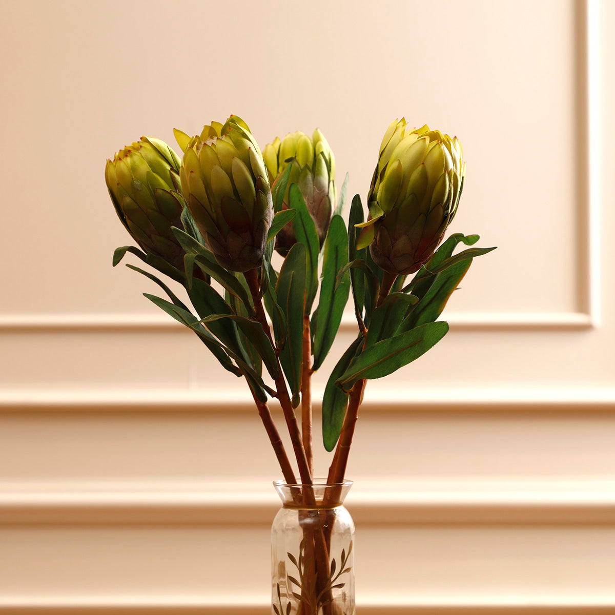 Queen Protea Flower Bud Green
