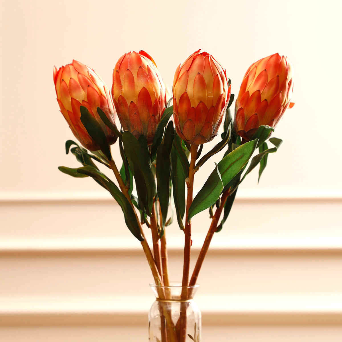 Queen Protea Orange Flower Bud