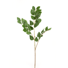 Sabah Leaf Dak Green