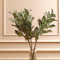Senecio Cineraria Leaves Olive