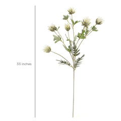 Thistle Flower White