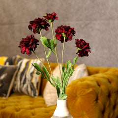 Beauty Zinnia Flower
