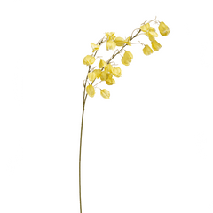 Simra Yellow Flower