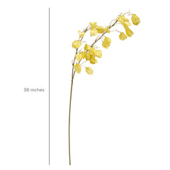 Simra Yellow Flower