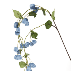 Frazi Blue Flower