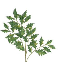 Christmas Maple Leaves